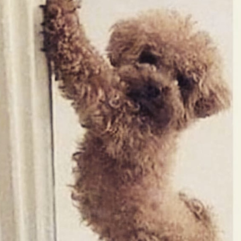 Meet your Posher, Kenya